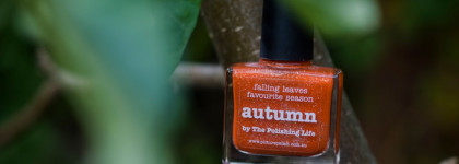 Picture Polish - Autumn