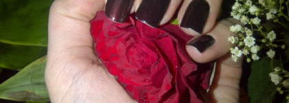 Как вы лаки назовете, так они и поплывут