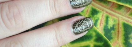 Наконец-то он мой. Dior 001 Golden Jungle Duo Vernis Or & Top Coat Fini Croco