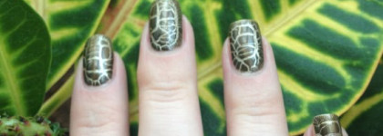 Наконец-то он мой. Dior 001 Golden Jungle Duo Vernis Or & Top Coat Fini Croco