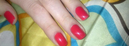 Как я провел лето..