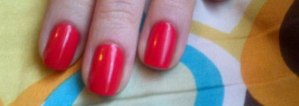 Как я провел лето..