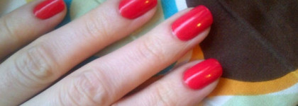 Как я провел лето..