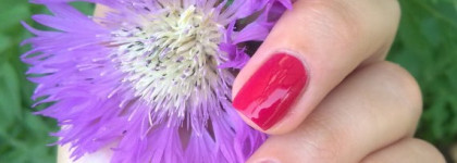 Фуксия Вулгарис - Bourjois Fuchsia Hype # 23