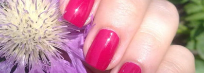 Фуксия Вулгарис - Bourjois Fuchsia Hype # 23