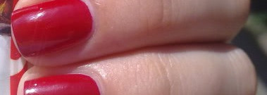 Мой идеальный красный - Golden Rose # 81