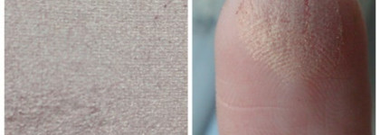 Tom Ford Eye Color Quad Eye Shadows 02 Cognac Sable