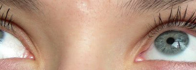 Helena Rubinstein Lash Queen Feline Blacks