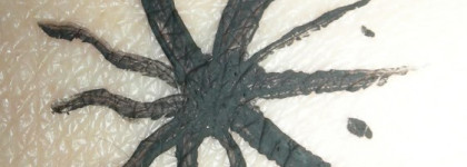 Nouba Rainbow Eye liner