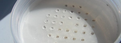 Shiseido Translucent Loose Powder  "Septarian"- "пудра-хайлайтер"