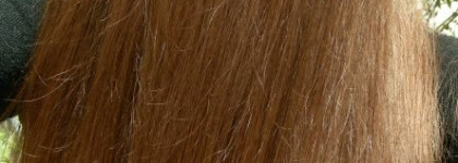 Chi Silk Infusion - шелк для волос