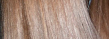 Chi Silk Infusion - шелк для волос