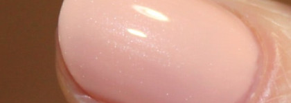 Golden Rose Selective 08 South Beach