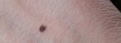 Мои свежие must have - тональная основа Lumene CC cream & карандаш для бровей 2в1 Eva mosaic Eyebrow duo