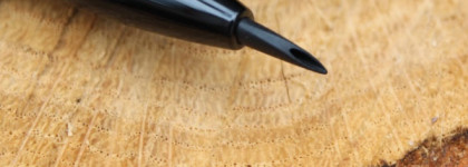 Smashbox Bronze Lights Poudre bronzante Warm Matte & Photo Angle Pure pigment eyeliner gel Jet Black