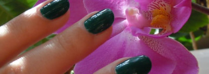 Изумрудное настроение с Essence Colour&Go Trust In Fashion 54