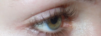 "Хлопай ресницами и взлетай!" - мои любимые и не очень туши