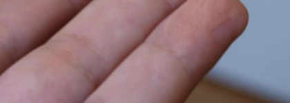 Мои новые дежурные тени - Elizabeth Arden