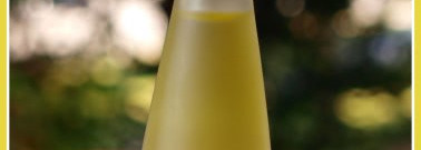 Маслянистые этюды