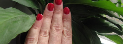 Малиновое варенье на ногтях - Лак для ногтей Sagitta Professional серия "Holiday" #422