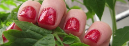 Малиновое варенье на ногтях - Лак для ногтей Sagitta Professional серия "Holiday" #422
