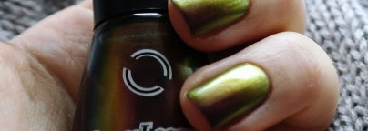 Хамелеон Dance Legend  Chameleon # 092 - Roz