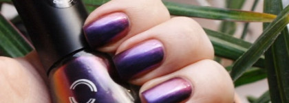 Dance Legend Chameleon collection #093 Celia