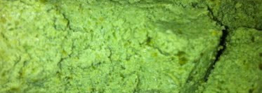 Some of my Lush products (Part 2)