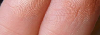 Румяна Estee Lauder Signature Silky Powder Blush №12