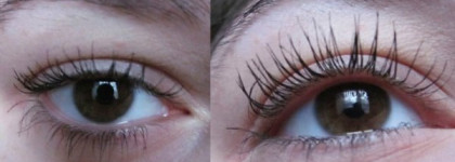 Мои бюджетные туши