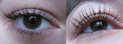 Мои бюджетные туши