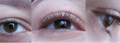 Мои бюджетные туши