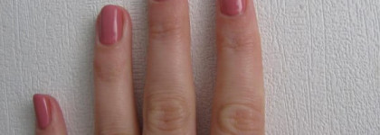 Бутон розы от Shellac