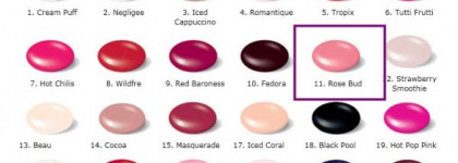 Бутон розы от Shellac