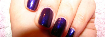 Перепись семейства ОРЛовых (много фото)