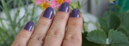 Фиолетовая пыль от Dance Legend