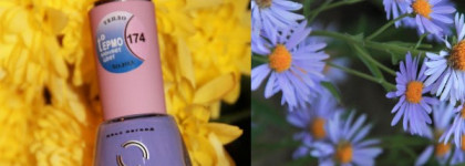 Термолак Dance Legend 174