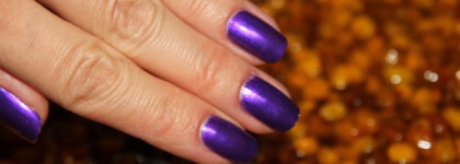 Меховой/флисовый маникюр от Dance Legend или мохнатики рулят