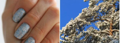 В гостях у снежной королевы