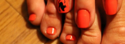 Вышла кошка погулять..на берега морские