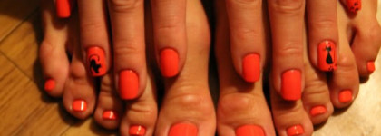 Вышла кошка погулять..на берега морские