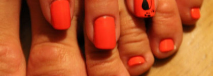 Вышла кошка погулять..на берега морские