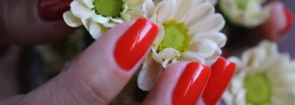 Когда хочется огня и шика