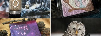 Совы не то, чем они кажутся — Хайлайтер Holika Holika Midnight Owl Bright Owl и лак для ногтей Orly Nite Owl