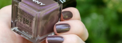 Anny Nail Polish № 530 Must Have