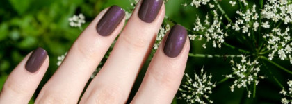 Anny Nail Polish № 530 Must Have