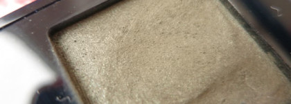 Мои идеальные тени Dior Diorshow Mono Wet & Dry Backstage Eyeshadow 477 Camouflage