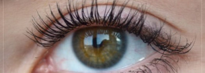 Ещё одна из рода False Lash Effect - Max Factor Clump Defy by False Lash Effect (black)