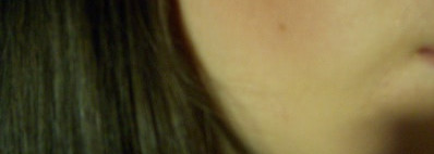 Catrice Defining Blush 060 Rosewood Forest