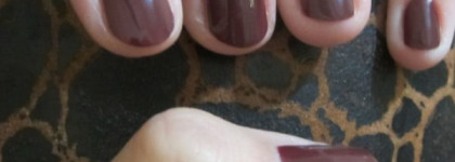 Шоколадный Golden Rose 97